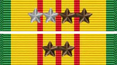 Vietnam Service Medal 14X