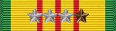 Vietnam Service Medal 16X