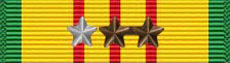 Vietnam Service Medal 7X