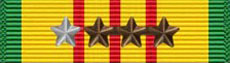 Vietnam Service Medal 8X
