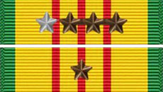 Vietnam Service Medal 9X