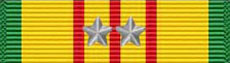 Vietnam Service Medal 10X
